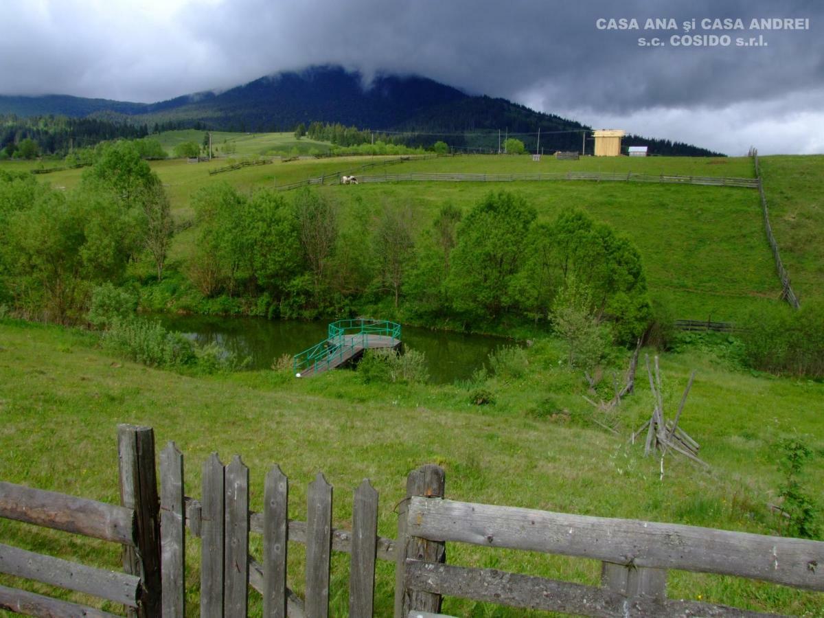 Вілла Casa Andrei Vatra Dornei Dealu Floreni Екстер'єр фото